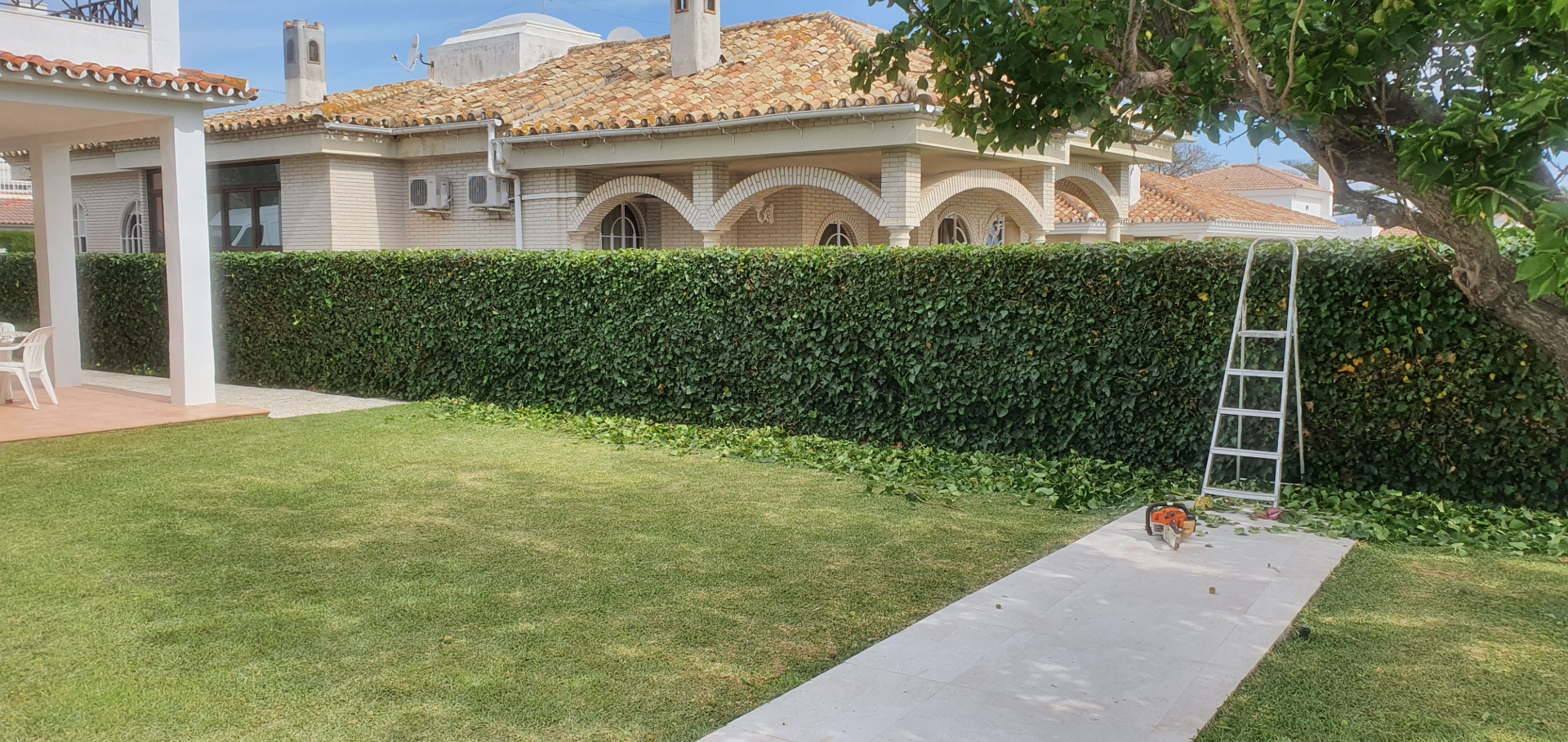 Inicio jardines03